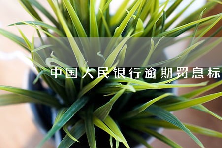 中国人民银行逾期罚息标准