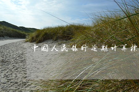中国人民银行逾期计算标准 中国人民银行逾期计算标准