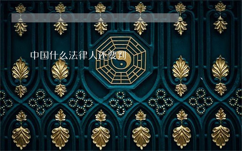 中国什么法律人还要判 中国什么法律人还要判