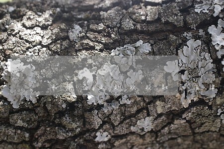 中国企业赴欧投融资法律研讨会 中国企业赴欧投融资法律研讨会