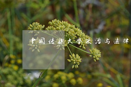 中国传媒大学政治与法律学院招聘 中国传媒大学政治与法律学院招聘