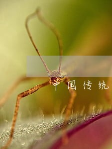 中国传统法律文化中的权利资源 中国传统法律文化中的权利资源