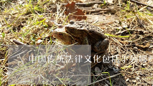 中国传统法律文化包括下列哪些 中国传统法律文化包括下列哪些