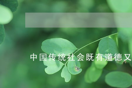 中国传统社会既有道德又有法律