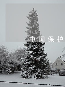 中国保护救护者的法律