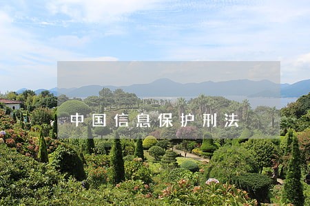 中国信息保护刑法 中国信息保护刑法