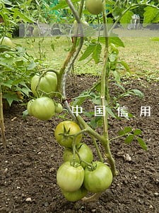 中国信用卡公务卡逾期 中国信用卡公务卡逾期