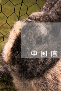 中国信用卡晚还2天算逾期吗