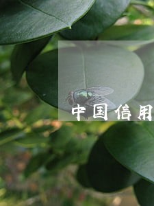 中国信用卡超过几天算逾期 中国信用卡超过几天算逾期
