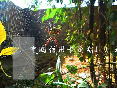 中国信用卡逾期10天 中国信用卡逾期10天