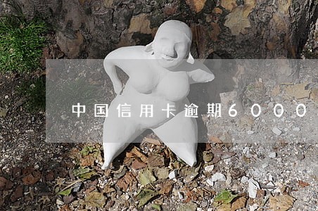 中国信用卡逾期6000