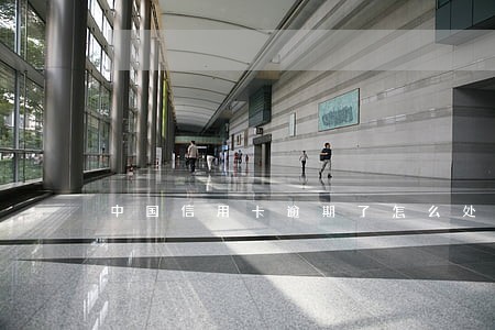 中国信用卡逾期了怎么处罚 中国信用卡逾期了怎么处罚