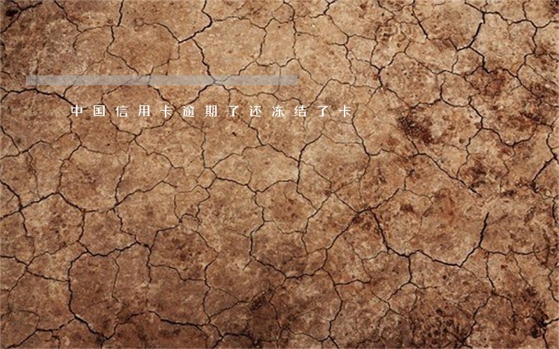 中国信用卡逾期了还冻结了卡