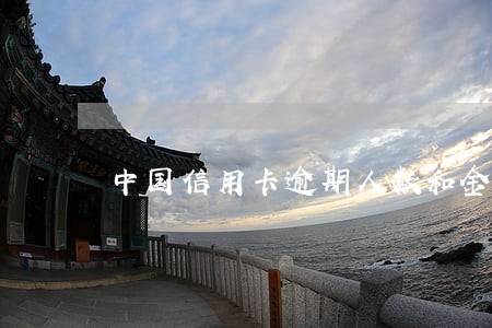 中国信用卡逾期人数和金额