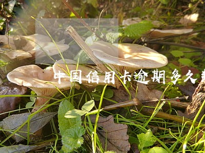 中国信用卡逾期多久封卡 中国信用卡逾期多久封卡