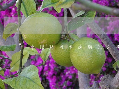 中国信用卡逾期怎么减免