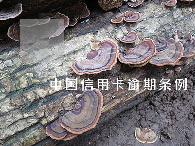 中国信用卡逾期条例 中国信用卡逾期条例