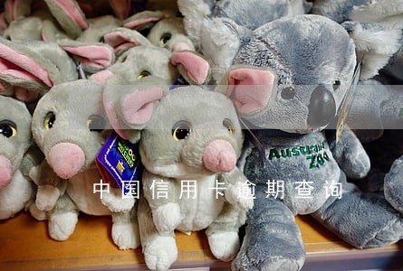 中国信用卡逾期查询 中国信用卡逾期查询