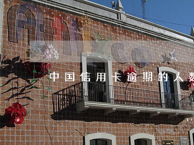 中国信用卡逾期的人数