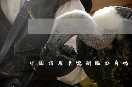 中国信用卡逾期能协商吗 中国信用卡逾期能协商吗