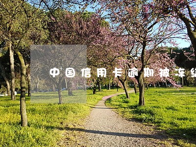 中国信用卡逾期被冻结 中国信用卡逾期被冻结