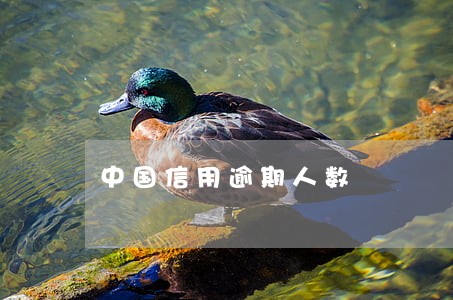 中国信用逾期人数 中国信用逾期人数