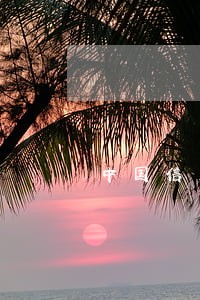 中国信用逾期影响美国信用吗 中国信用逾期影响美国信用吗