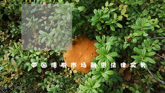 中国债券市场融资法律实务