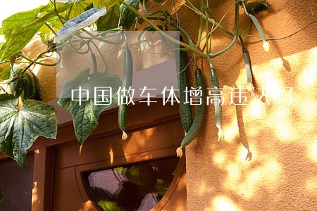 中国做车体增高违法吗 中国做车体增高违法吗