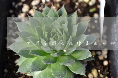 中国全国的法律是统一的吗