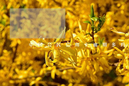 中国公民信用卡逾期多吗 中国公民信用卡逾期多吗