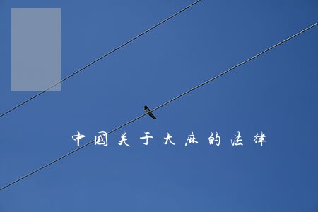 中国关于大麻的法律 中国关于大麻的法律