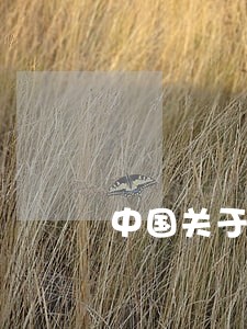 中国关于拐卖儿童的法律 中国关于拐卖儿童的法律