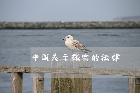 中国关于探宝的法律 中国关于探宝的法律