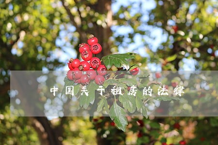 中国关于租房的法律 中国关于租房的法律
