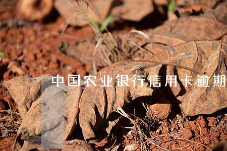 中国农业银行信用卡逾期 中国农业银行信用卡逾期