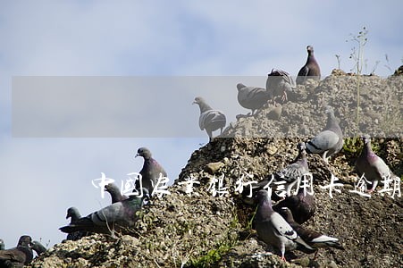 中国农业银行信用卡逾期三天 中国农业银行信用卡逾期三天