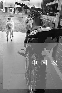 中国农业银行信用卡逾期电话 中国农业银行信用卡逾期电话