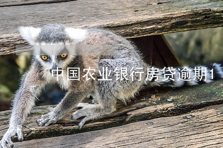 中国农业银行房贷逾期1天 中国农业银行房贷逾期1天