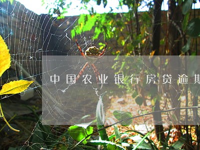 中国农业银行房贷逾期怎么办