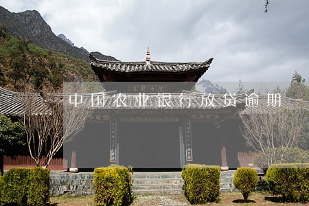 中国农业银行放贷逾期一天