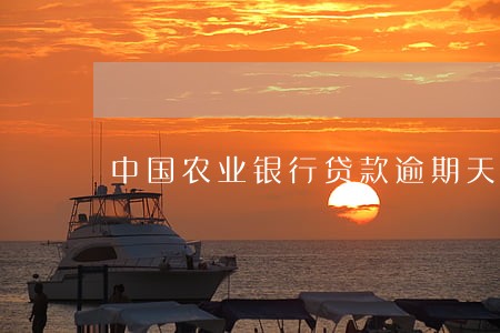 中国农业银行贷款逾期天数 中国农业银行贷款逾期天数