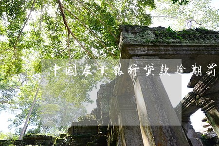 中国农业银行贷款逾期罚息 中国农业银行贷款逾期罚息