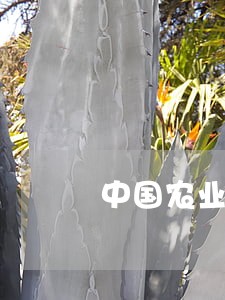 中国农业银行逾期贷款记录 中国农业银行逾期贷款记录