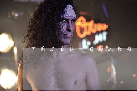 中国农业银行逾期还款规定