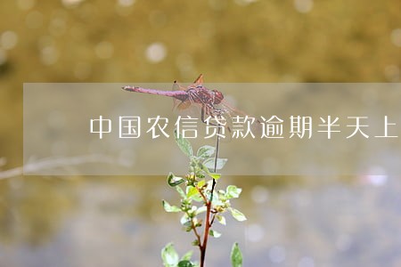中国农信贷款逾期半天上征信吗 中国农信贷款逾期半天上征信吗