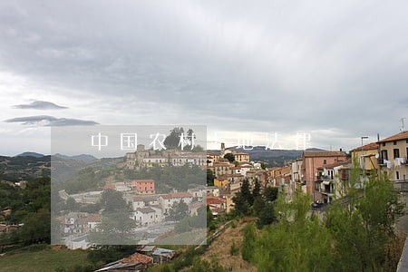 中国农村土地法律