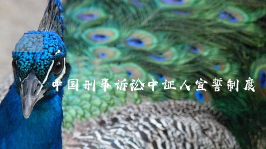 中国刑事诉讼中证人宣誓制度