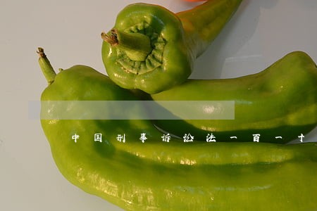 中国刑事诉讼法一百一十二条 中国刑事诉讼法一百一十二条