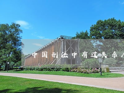 中国刑法中有过失杀人罪吗 中国刑法中有过失杀人罪吗